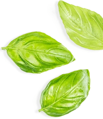 testimonials-leafimg