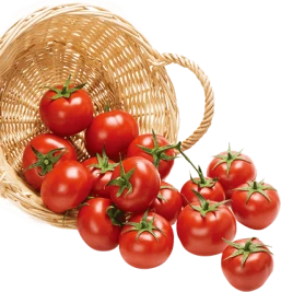 testimonials-tomato-img